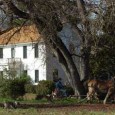 Harvest Days at Hanley Farm - August 4, 5 and 6!