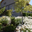 This month, the Bigham Knoll site plays host to a new bonanza: wine. The 9th Annual Southern Oregon World of Wine Festival...