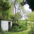 Great article about the Willow Ms. Hanley planted and fun "Mysteries in Our Backyard" series...