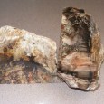 The wood is petrified Metasequoia from the Oligocene era, approximately 23 to 34 million years ago...