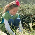 A great way to integrate yoga and gardening by creating what I call a “gratitude garden...