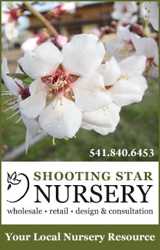 Click here for Shooting Star Nursery's Website!