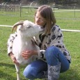 Tour the Farm at Sanctuary One! Tours are held Wednesdays and Saturdays from early April to early November...