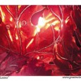 Up Close and Personal with Metal Artist Cheryl Garcia First in a series of artist profiles by Randall Graelish