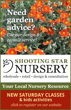 Click here for Shooting Star's Website!
