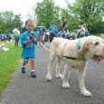Dogs for the Deaf Annual Walk in Jacksonville This Year! This year’s furry fun- filled festivities are THIS Saturday, June 1st from 9 a.m. to 2 p.m!