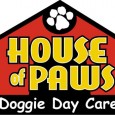 House of Paws Dog Daycare Center Opens House of Paws dog daycare now open!