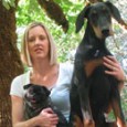 Heads up Jackson County Dog Owners!! Some recent changes have been made in Jackson County in regards to the licensing...