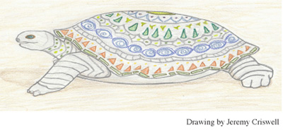 turtle-drawing-by-jeremy-criswell-updated