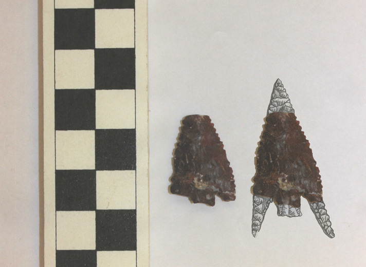 This image shows a chert projectile point, with an illustration on the right to show what the point would have looked like before it was broken (scale in centimeters).